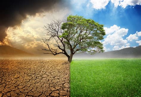alterações climáticas causas e consequências